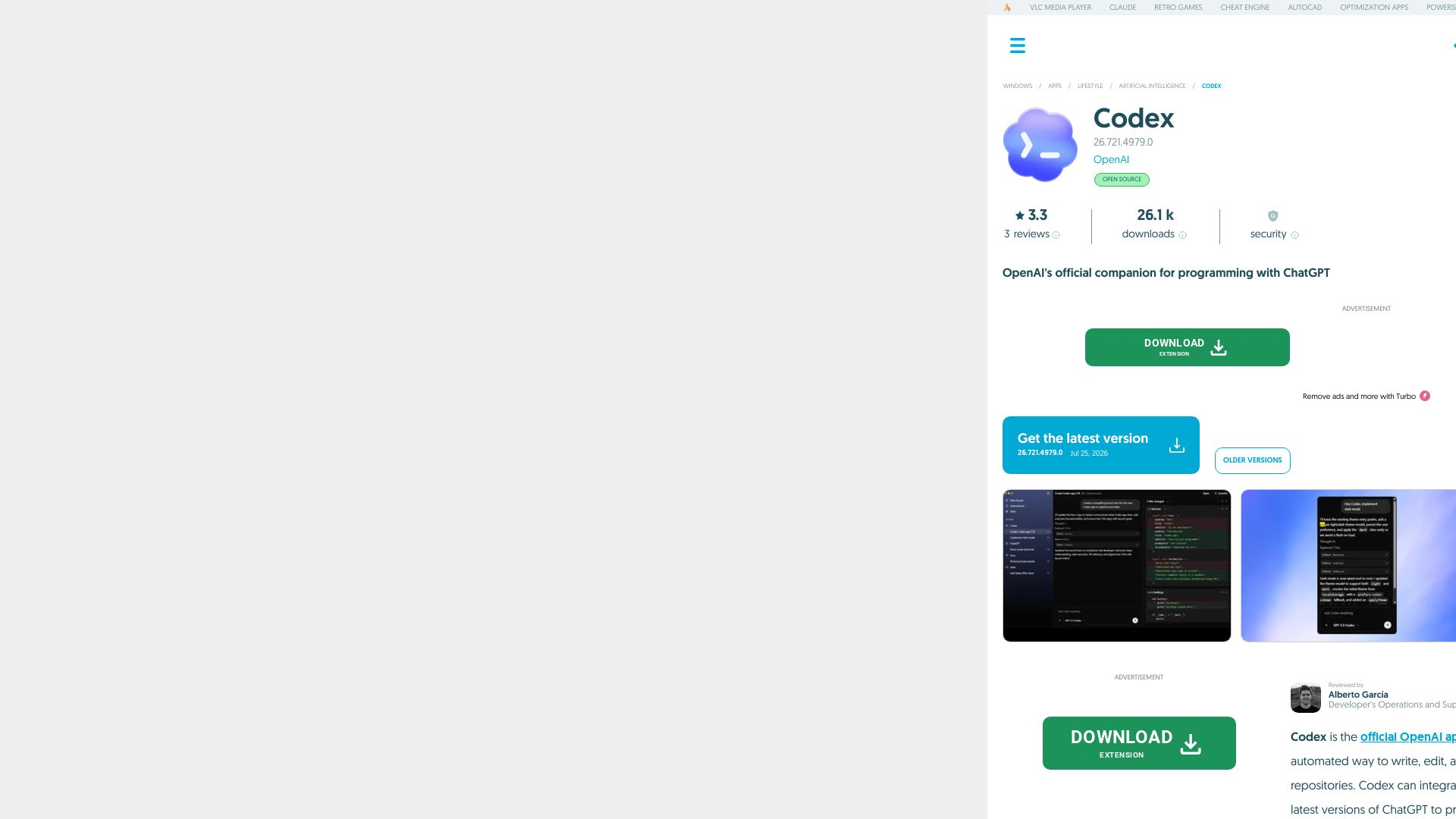 Codex page