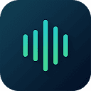 Voices AI