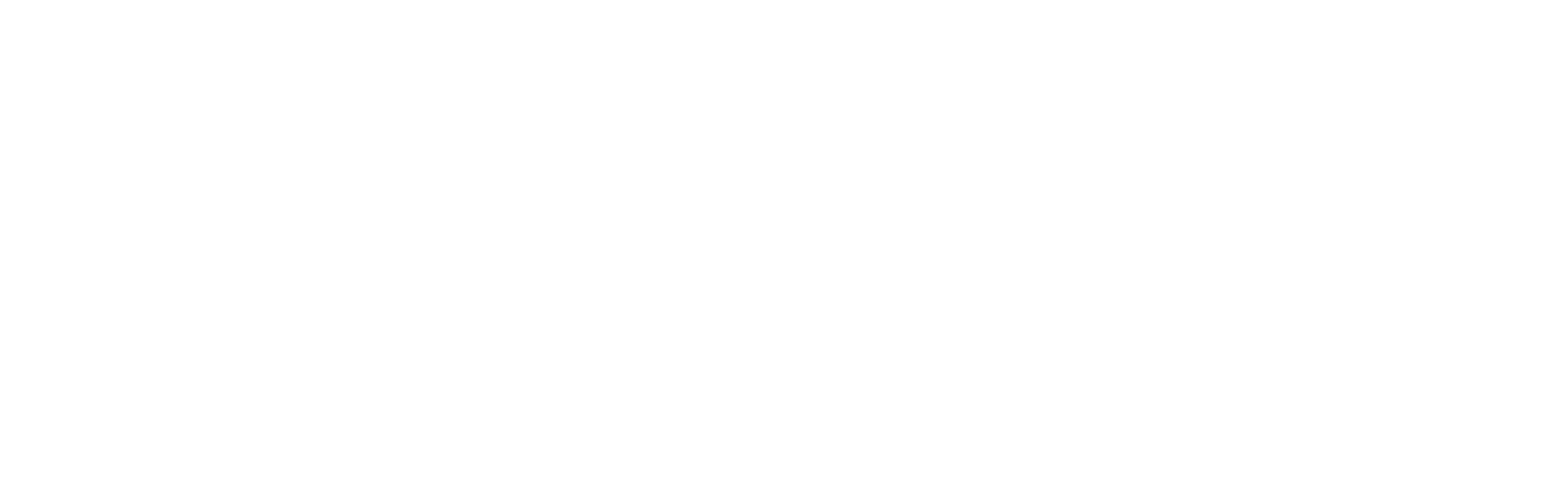 Nytro SEO