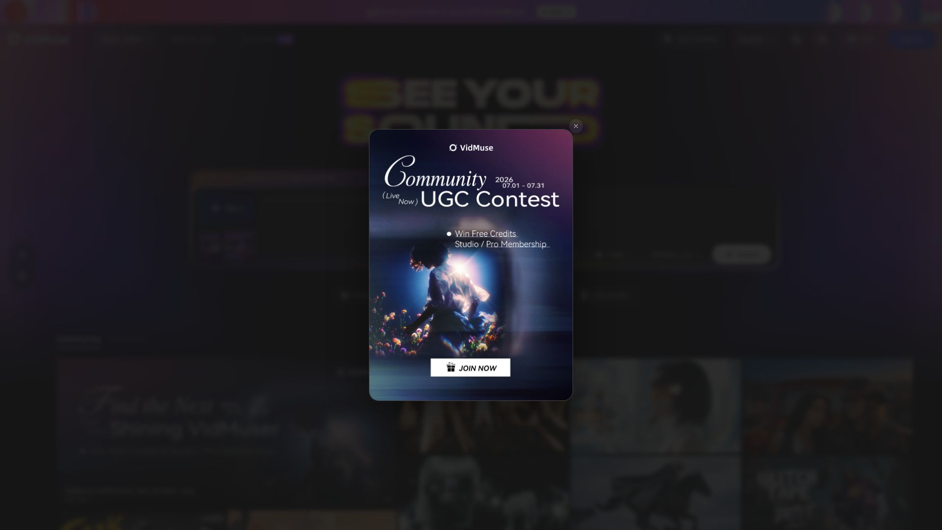 VidMuse page