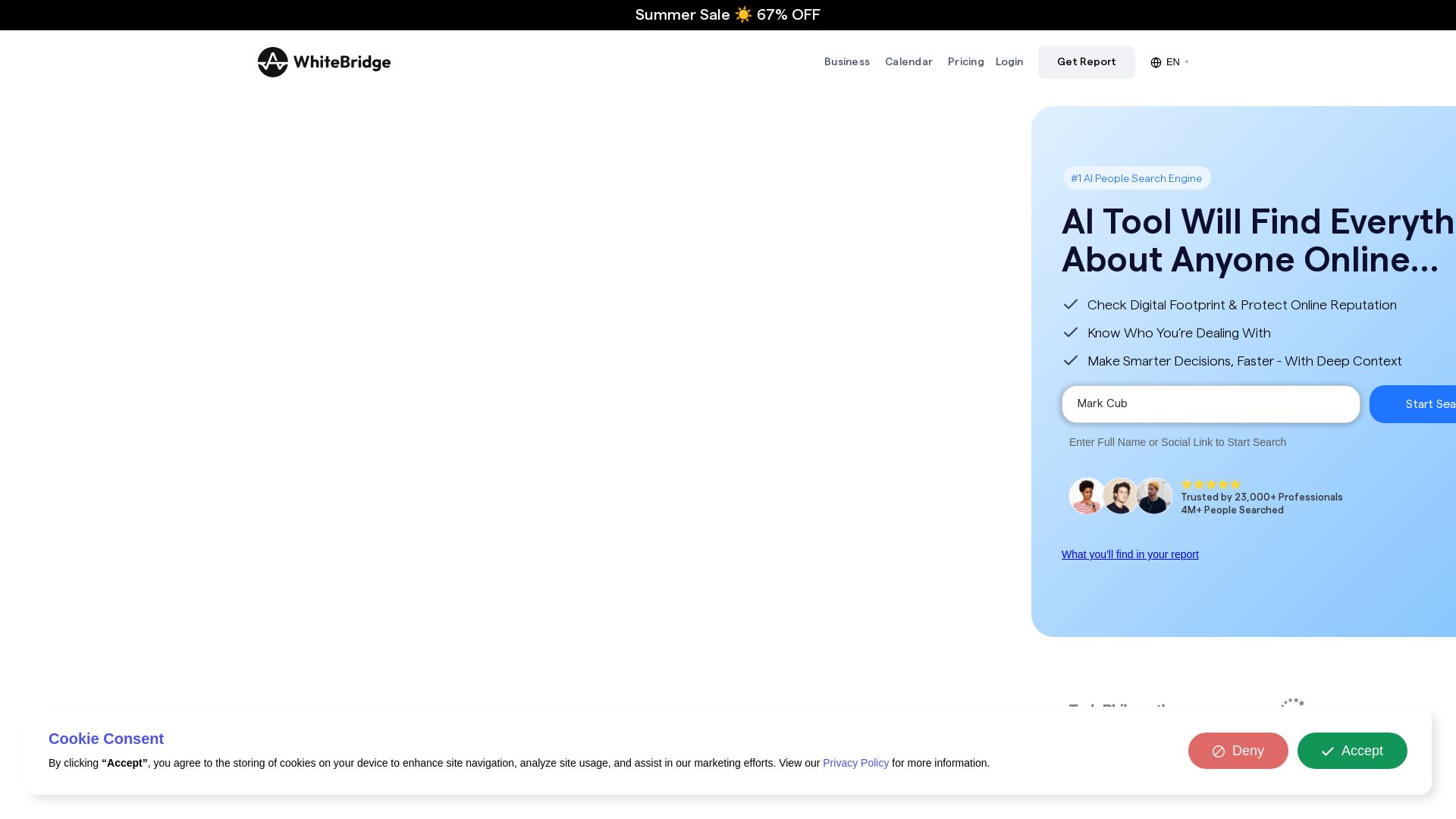 Whitebridge.ai page
